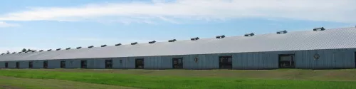 The barns are twice as long as this The barns are twice as long as this