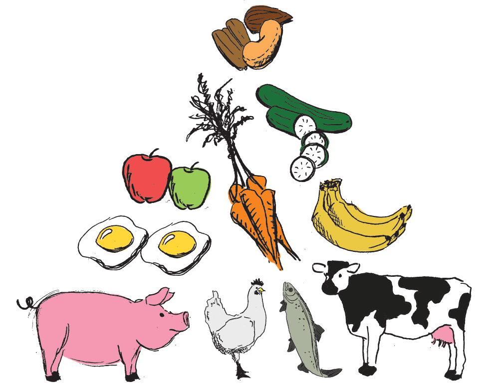 paleo-pyramid.gif