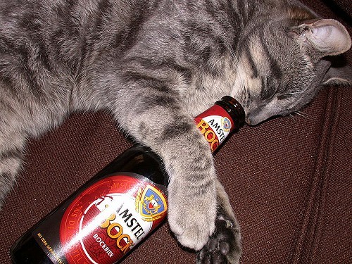 party cat tires of your reindeer games!