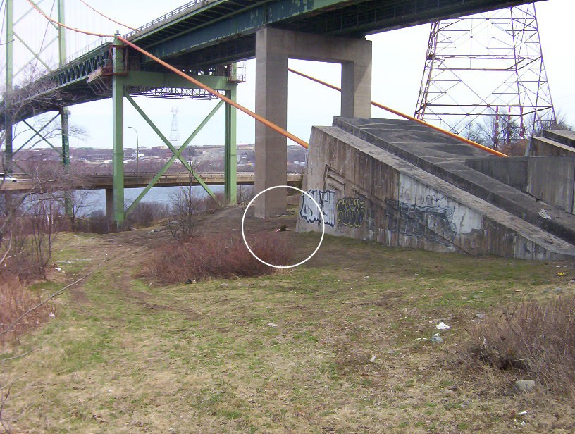 The cable abutment under the MacKay Bridge, as it appeared in 2010. Holly was discovered at the base of the abutment, centre of white circle. There have been changes to the area in the intervening years, including the construction of a second fence and the re-surfacing of the abutment.