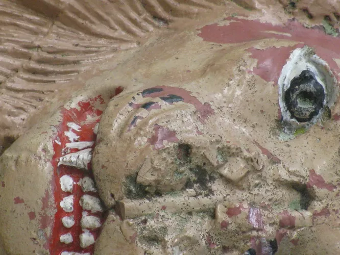 closeup.jpg