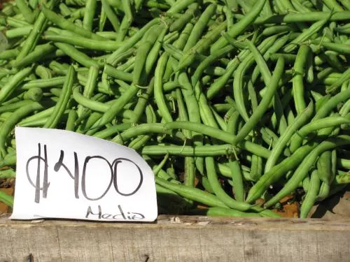 market_002.jpg