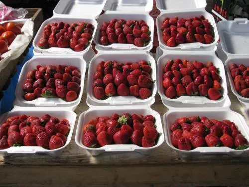 market_009.jpg