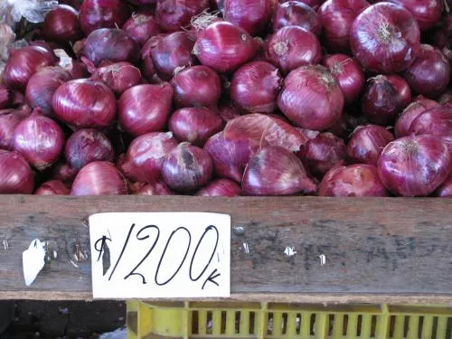market_019.jpg