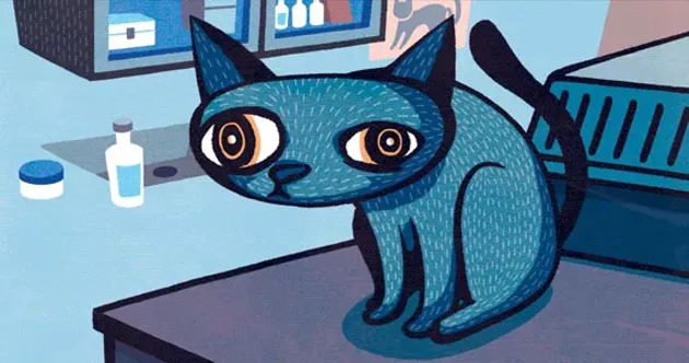 cat hospital quinpool