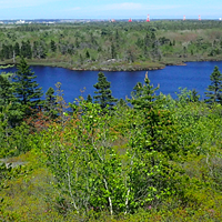 Halifax is right to be excited about its new Green Network Plan