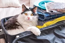 travel3.jpg