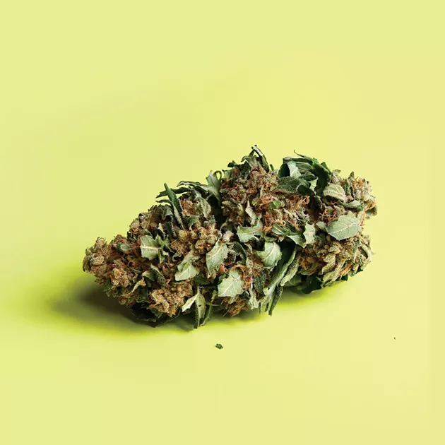 weedcover.jpg
