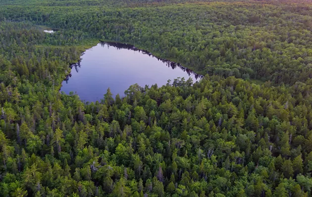 Hobson Lake in the Blue Mountain-Birch Cove Lakes area. - VIA FLITELAB