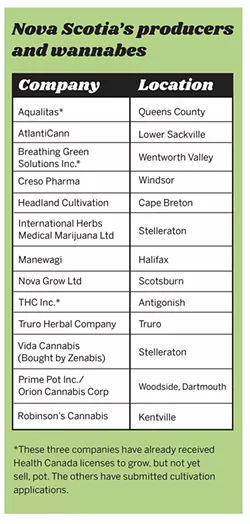 And once a company receives a cultivation license to grow pot, selling it to consumers requires another license.
