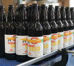 DRINK THIS: Boxing Rock’s 14 Carrot Gold pale ale