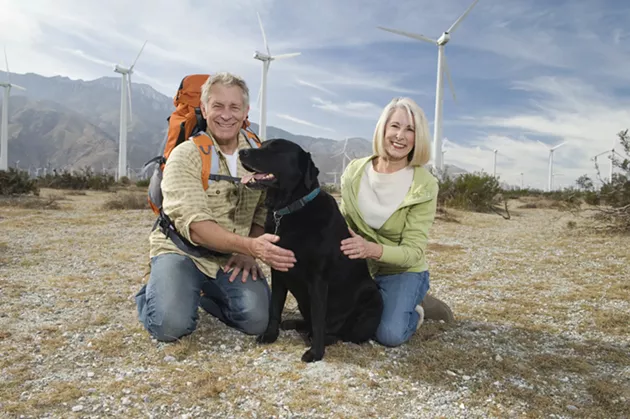 A good dog enjoying some renewable energy wind farm land. Renewable energy rose 14.5 percent in 2018.
