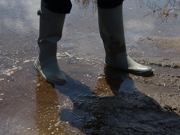 Nova Scotia’s golden addiction to toxic mining