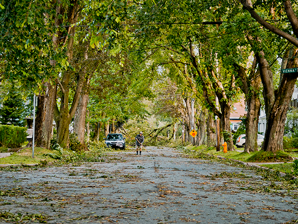 Fallen branches and debris litter Dublin Street after Hurricane Dorian ripped through Halifax. - COREY ISNOR