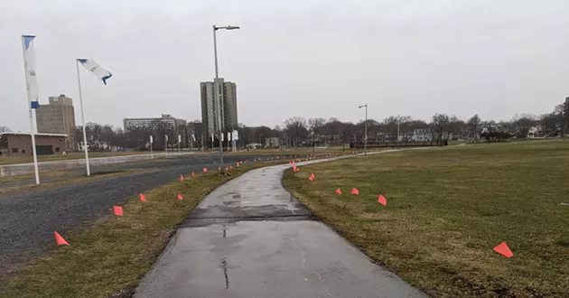 Flags line paths open for essential travel in the Halifax Common - CAORA MCKENNA