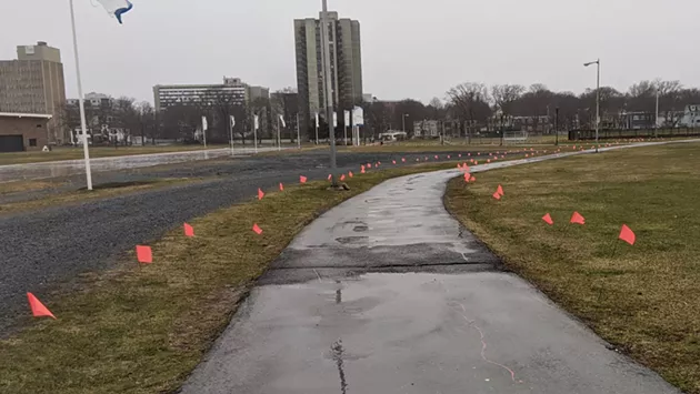 Flags line paths open for essential travel in the Halifax Common. - CAORA MCKENNA