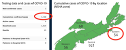 Add up the case numbers shown on the province's official map, and you'll get 1,099 cases because the Eastern zone's case number didn't go up to 55 today. At the left of this screenshot the province shows we're now at 1,100 cases. - NS GOVT SCREENSHOT