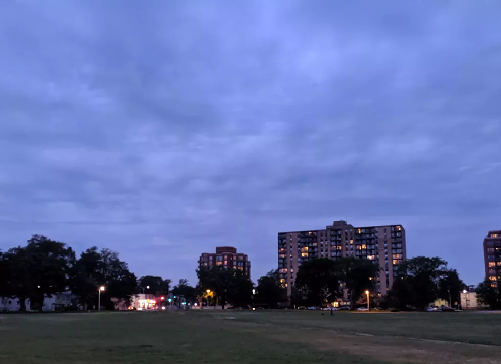 Dusk falls over the Halifax Common. - CAORA MCKENNA