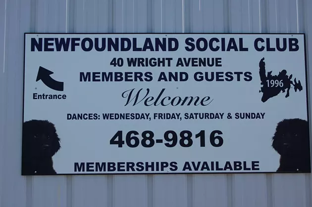 NEWFOUNDLAND CLUB FACEBOOK