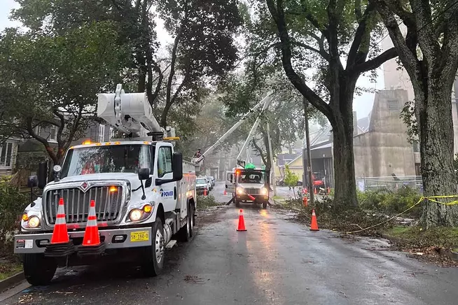 Will Halifax’s trees survive the next hurricane?