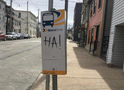 A not-so-serious bus stop, noticed by themaxonlinedotnet on Instagram at the corner of Gottingen and Cornwallis.