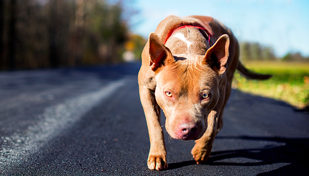On the road again... - VIA ISTOCK