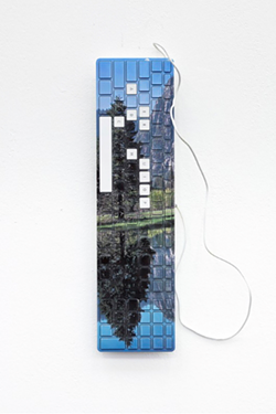 Artist James Hoff creates a virtual walk in the park at Anna Leonowens Gallery (see 1). - JAMES HOFF