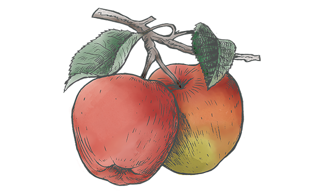 cider.png