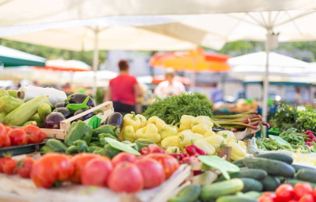 Climate change a large, systemic problem for Maritime farmers