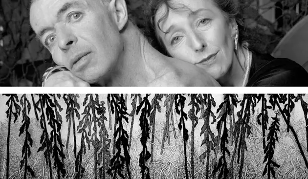 George Steeves, Sublime Camoflage (2006) detail - Cecil Day, Winter Goldenrod (2017) detail - VIA MSVU ART GALLERY