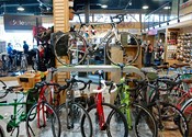 pedaler bike shop