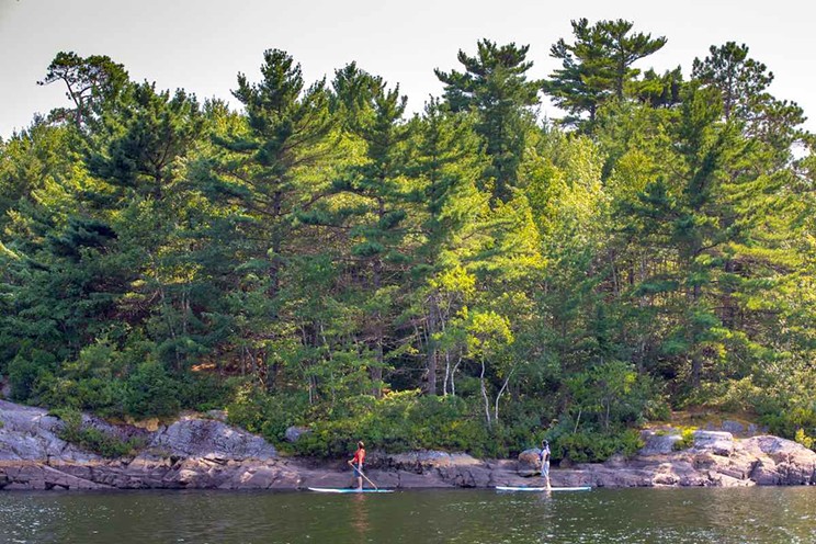 Part of Halifax's magic is that wild places like Williams Lake exist near urban spaces.