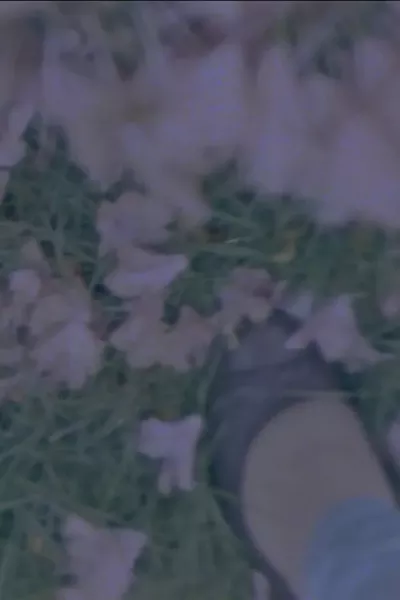 wait-outside-still_preview.jpg