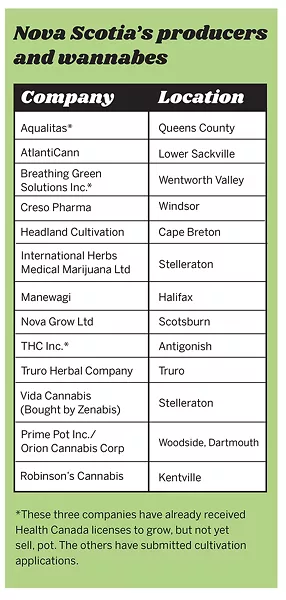 And once a company receives a cultivation license to grow pot, selling it to consumers requires another license.