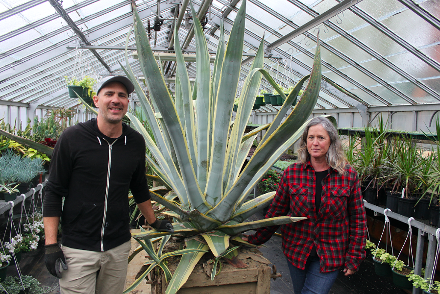 Sheldon Harper, the gardener who discovered the bloom and Heidi Boutilier. - JENNIFER LEE