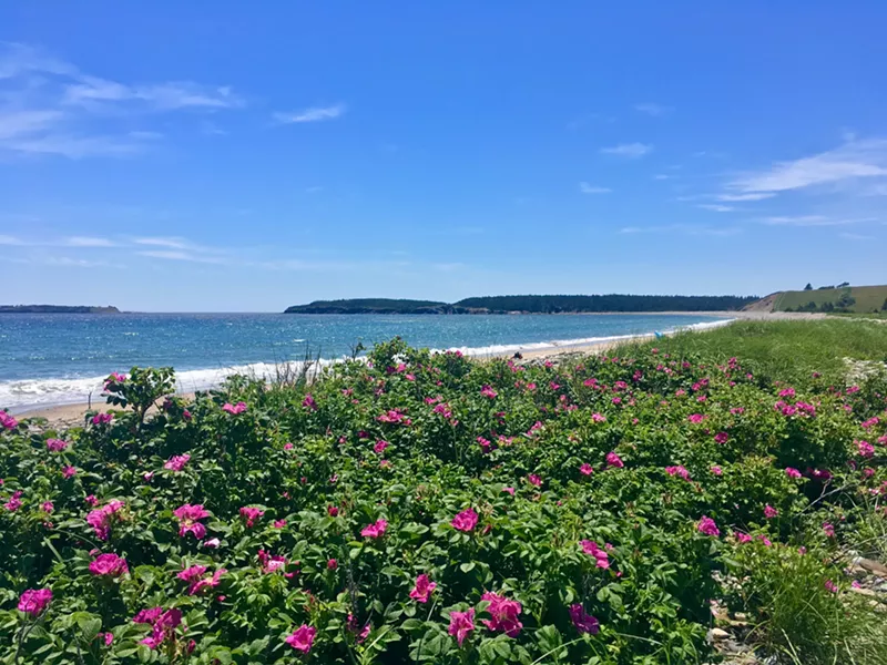 Hirtles Beach - LAURA HAWKINS