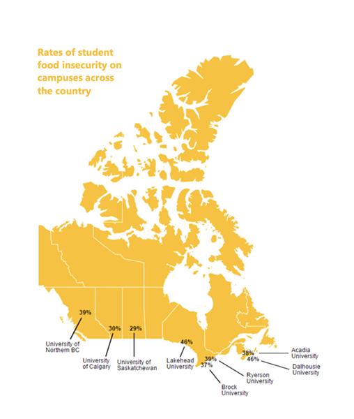 The 2016 Hungry for Knowledge Report from Toronto's Meal Exchange found that Dalhousie University tied for the highest rates of food insecurity on campus in the country, at 46%. - MEALEXCHANGE.COM