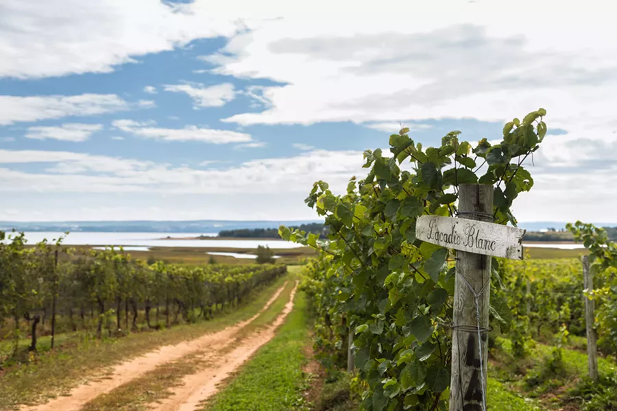 winery_1_of_9_.jpg