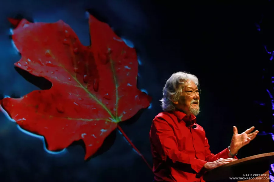 VIA THE DAVID SUZUKI FOUNDATION