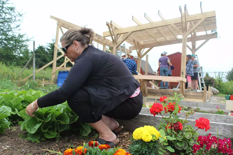 Kristen Hollery tends to the crops at St. Paul's. - VICTORIA WALTON
