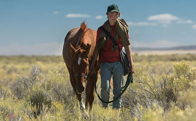 Starsky as Lean On Pete and Charlie Plummer as Charley in Lean On Pete. - ELEVATION PICTURES