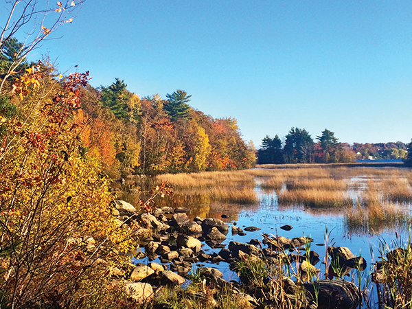 Shubie Park offers a scenic stroll. - LAURA HAWKINS
