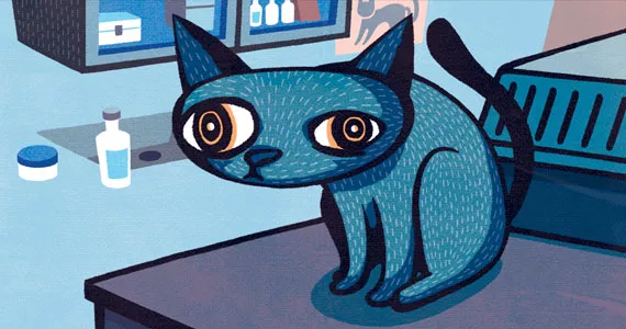 Sick kitty, sad kitty. - SHANE SONG