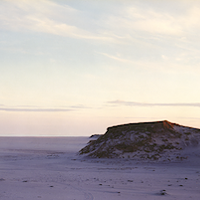 The Nature of Nature: The Photographs of Thaddeus Holownia