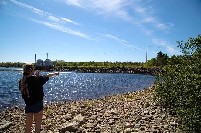 Government tells Nicole Gnazdowsky she's "no longer welcome" to contact the province | News | Halifax, Nova Scotia - Vimarsana News