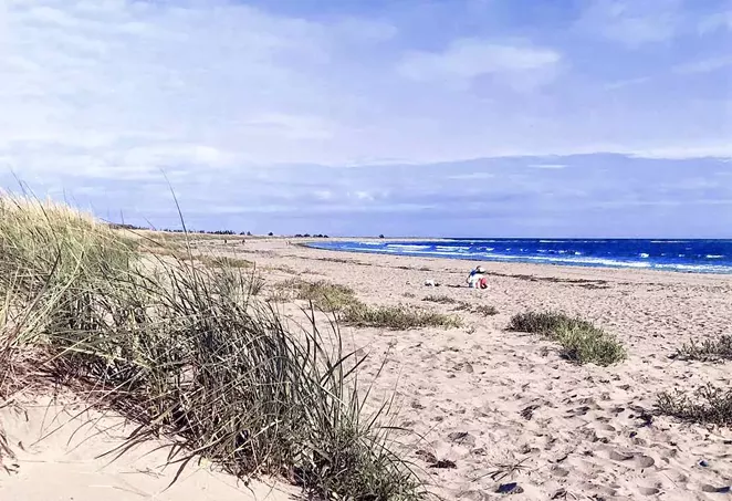 10 beautiful beaches within an hour of downtown Halifax - Vimarsana News