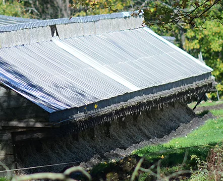 What appears to be feces piled alongside open-air hutches on what the APFA says is a Nova Scotia fur farm.
