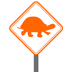 turtlesign.png