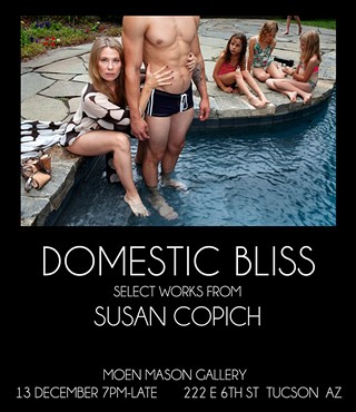 Domestic Bliss selected works from Susan Copich