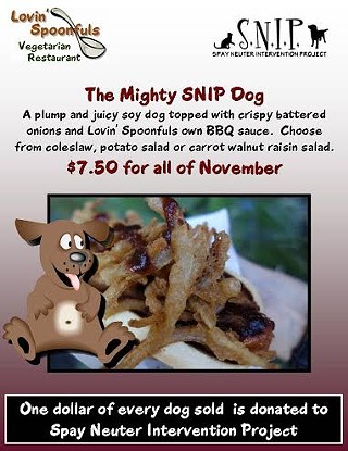 The Mighty SNIP Dog